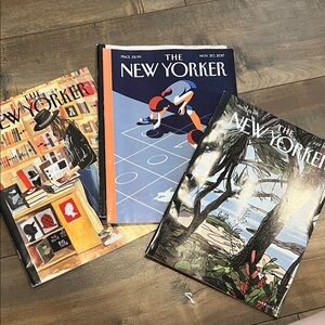 3️⃣0️⃣ New Yorker Magazines - Set of 3️⃣0️⃣ from 2016-2019